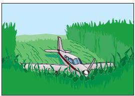 Using vegetation to absorb energy